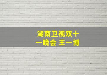 湖南卫视双十一晚会 王一博